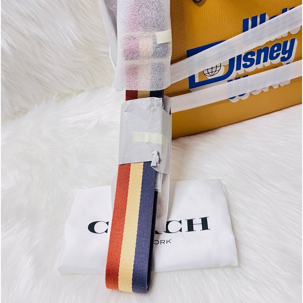 Disney x COACH Walt Disney World Tote Bag - Picture 9 of 11
